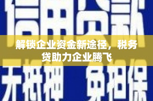 连南解锁企业资金新途径，税务贷助力企业腾飞